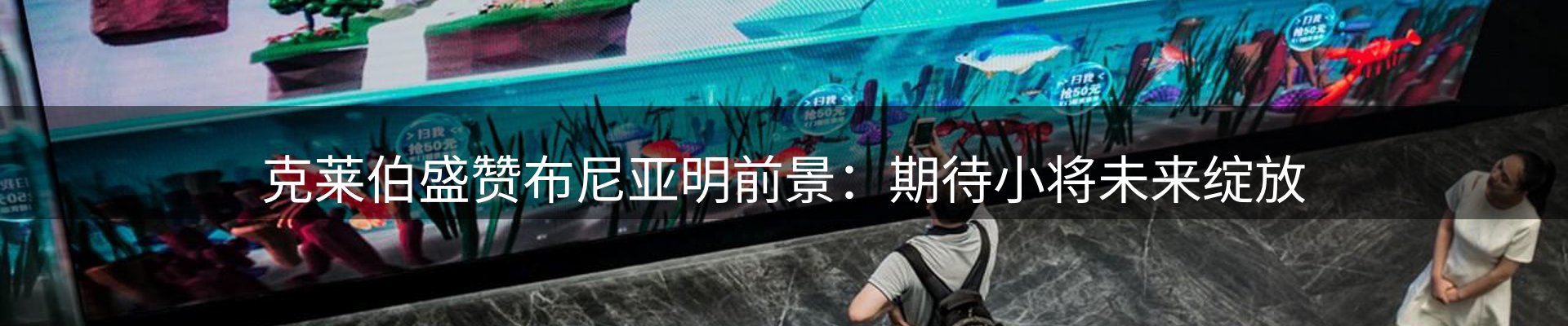 网站动态
