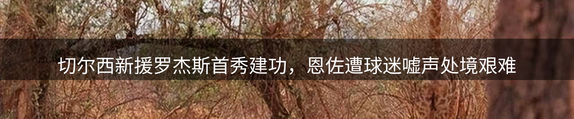 资讯动态