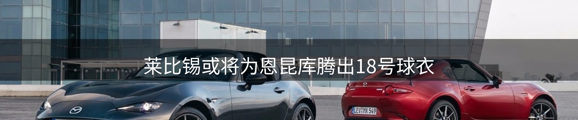 网站动态